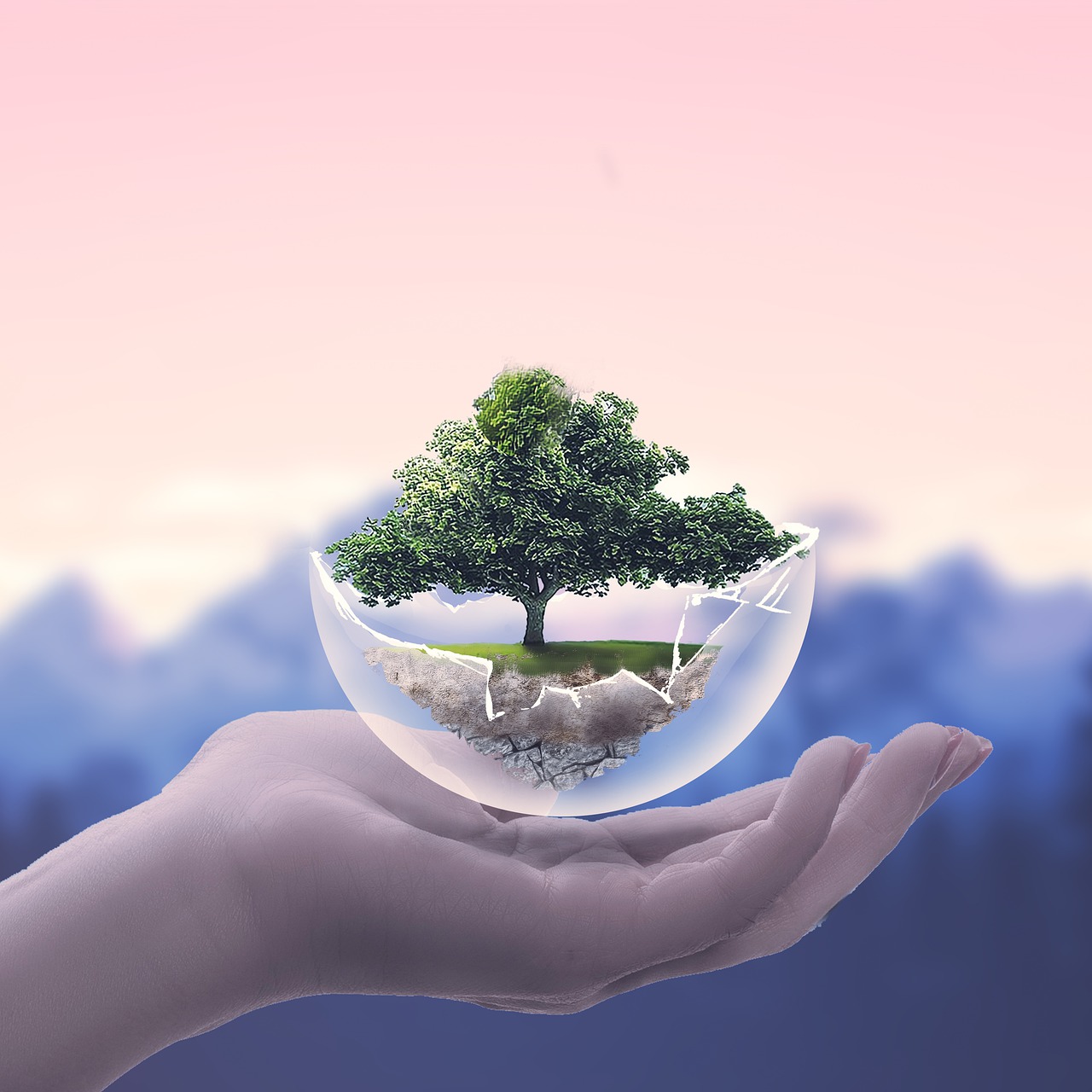 hand, tree, roots, soil, ball, glass, nature, soil, soil, soil, soil, soil